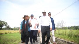 Ketua Komisi IV DPR RI, Titiek Soeharto saat meninjau jalanya panen raya bersama Menteri Pertanian Andi Amran Sulaiman di Kabupaten Bantul. (Dok. Kementerian Pertanian)

