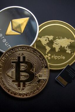 Indonesia Dinilai Perlu Lakukan Langkah Strategis Seperti Amerika Serikat dalam Mengadopsi Aset Digital