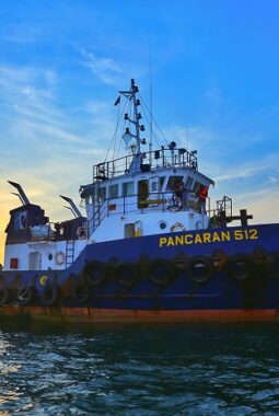 Siap Tercatat di BEI, PSAT Andalkan IPO untuk Tambah Bulk Carrier