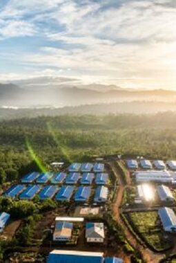 Dividen Rp30 per Saham, Harita Nickel Tetap Tumbuh Hijau