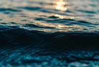 PCA  mengeluarkan putusan bersejarah yang menolak klaim Tiongkok di Laut Cina Selatan. (Pixabay.com/PublicCo)