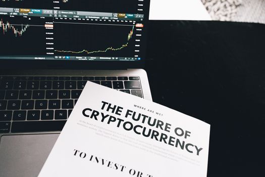 Ilustrasi seorang individu sedang mempelajari grafik harga Bitcoin di layar laptop, dengan dompet digital dan koin Bitcoin fisik sebagai simbol investasi aset digital. Gambar ini merepresentasikan proses riset dan analisis yang perlu dilakukan investor pemula sebelum terjun ke dunia kripto.