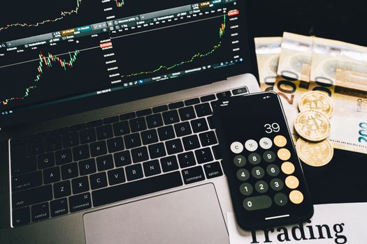 Ilustrasi seseorang tengah memegang koin Bitcoin virtual di depan grafik investasi yang menunjukkan fluktuasi harga. Ini menggambarkan pentingnya pemahaman pasar dan strategi matang dalam berinvestasi aset digital.
