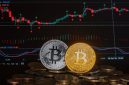 Ilustrasi berbagai jenis aset kripto yang disusun rapi, melambangkan konsep diversifikasi portofolio untuk manajemen risiko yang efektif dalam investasi digital.