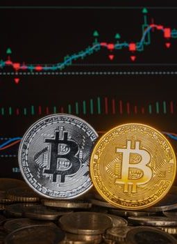 Diversifikasi Portofolio Kripto: Kunci Bertahan di Tengah Badai Volatilitas