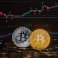 Ilustrasi berbagai jenis aset kripto yang disusun rapi, melambangkan konsep diversifikasi portofolio untuk manajemen risiko yang efektif dalam investasi digital.