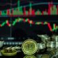 Seorang investor tengah menganalisis grafik pergerakan harga aset digital, merefleksikan kompleksitas dan dinamika pasar kripto yang terus berkembang. Gambaran ini menunjukkan pentingnya riset mendalam sebelum mengambil keputusan investasi di sektor yang penuh tantangan ini.